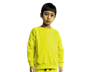 Bluza Wolf Lime - image 2